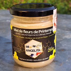 Miel de fleurs de Printemps